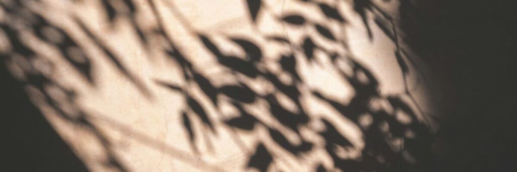 柔らかな光が差し込むベージュの壁に映る、優しく揺れる木の葉の影。HSPが抱える曖昧な生きづらさや脳の処理の仕組みを表現するイメージ。